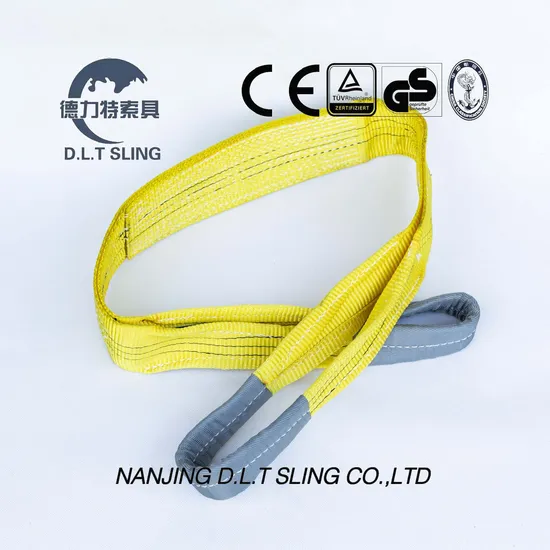 3t Polyester Flat Webbing Sling Sf 6: 1