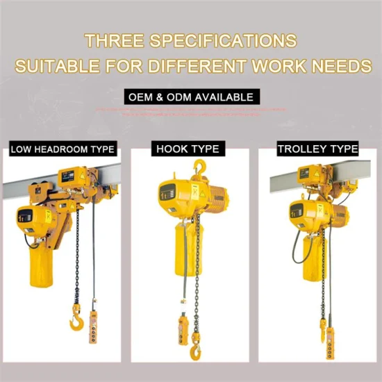 Customized 1 Ton 2 Ton 3 Ton 5 Ton Hhbh Electric Chain Hoist with Hook/Motorized Trolley Electric Crane with Electric Trolley